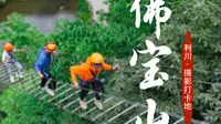 今天探秘湖北利川佛宝山