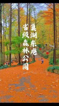 来巢湖，一定要来一趟安徽东庵省级森林公园