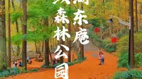 来巢湖，一定要来一趟安徽东庵省级森林公园