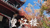 望江楼公园