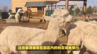 鄂尔多斯野生动物园旅游攻略