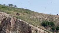 威海，海驴岛