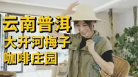 云南普洱大开河梅子咖啡庄园