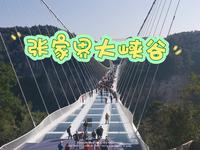 张家界大峡谷，好长的玻璃桥啊～云天渡