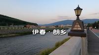 走进翠花之乡伊春朗乡，提前游览大山中的朗乡花海，旅行要返程了