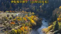 “绝美中国秋”伊犁库尔德宁 （10月5日左右）