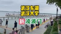 武汉大学凌波门换装亮相，带你一睹新凌波门的风采，共同回忆逝去的青葱岁月