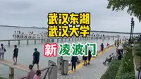 武汉大学凌波门换装亮相，带你一睹新凌波门的风采，共同回忆逝去的青葱岁月