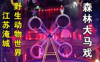 【江苏淹城野生动物世界】演出-森林大马戏