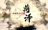 【菏泽】菏泽城市形象片《绽放》