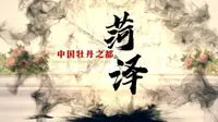 【菏泽】菏泽城市形象片《绽放》