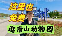 动物园也能免费游？第一次逛唐山动物园，景区挺大还不用买票