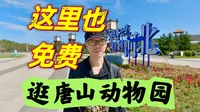 动物园也能免费游？第一次逛唐山动物园，景区挺大还不用买票