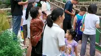 游览济南黄金谷山水画廊