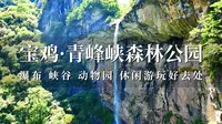 游宝鸡青峰峡森林公园，瀑布峡谷动物园，休闲玩水好去处！