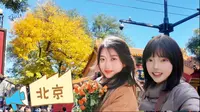 北平的秋天🍂vlog漫游北锣鼓巷红墙胡同神树
