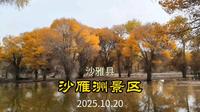 新疆沙雅县沙雁洲景区风光欣赏