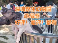 深圳野生动物园—游后感