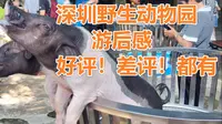深圳野生动物园—游后感