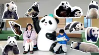 【岳阳中华大熊猫苑超全攻略】点开即可收获10只可爱熊猫~