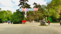 树长高了 黑龙江省森林植物园 哈尔滨