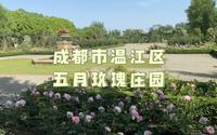 2023-04-29游览温江区五月玫瑰庄园