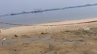 湛江渔港公园