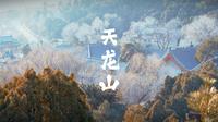 【4K】散落在40多个国家艺术博物馆中的石窟【天龙山石窟】
