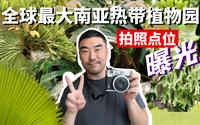 华南植物园真是中国最值得去的植物园，我分享了几个拍照无敌好看的点位，大家去广州玩一定要打卡哦！（可能还会出2.0吧，实在太好玩了）