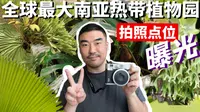 华南植物园真是中国最值得去的植物园，我分享了几个拍照无敌好看的点位，大家去广州玩一定要打卡哦！（可能还会出2.0吧，实在太好玩了）