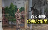 遵义动物园，门票12元，亲眼看到饲养员喂大老虎