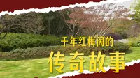 红梅公园