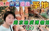 免费避暑遛娃圣地——南京地质博物馆（上）