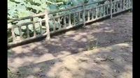 云阳  三国印巷