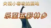 2024央视小春晚拍摄地   乐至五彩林乡