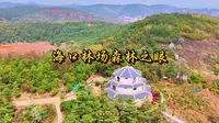 昆明海口林场 鲜花盛开 森林之眼瞭望塔 昆明的浪漫藏在满城鲜花里如果你厌倦了城里的拥挤，那就来昆明海口林场度过浪漫春季吧，这里是天然氧吧，还有一种难得的宁静美