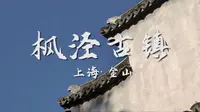 【枫泾古镇旅游宣传片】最有烟火气的古镇||课外实践