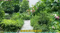 春日游贵阳市药用植物园，经过百草园、科普活动园，贵阳市树香樟