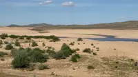 翁根毛都沙漠旅游实拍