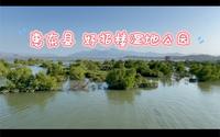 #行万里路# 惠东县 好招楼湿地公园，亲水栈道、绿红树林、白白白鹭，休闲好去处。