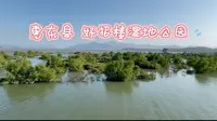 #行万里路# 惠东县 好招楼湿地公园，亲水栈道、绿红树林、白白白鹭，休闲好去处。