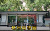 全国七大动物园之一，杭州动物园，门票20，带大家进去逛一逛