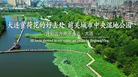 大连赏荷花的好去处-前关城市中央湿地公园
