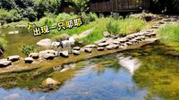 20220617姚家山一日游
