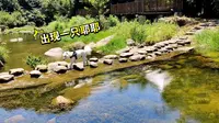 20220617姚家山一日游