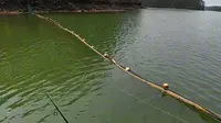 船钓星岛湖用根钓翘嘴开启新篇章！