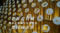 老崔看官藏-寿县安徽楚文化博物馆-楚国的金币