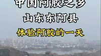 单车旅行来到山东东阿，进阿胶世界体验阿胶的一天。#山东东阿县 #东阿阿胶 #东阿美食 #旅行vlog