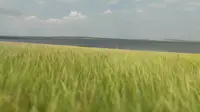 呼和诺尔景区