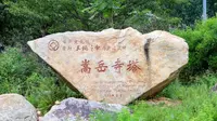 嵩岳寺塔